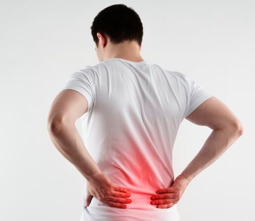 Back pain and low back of the back
